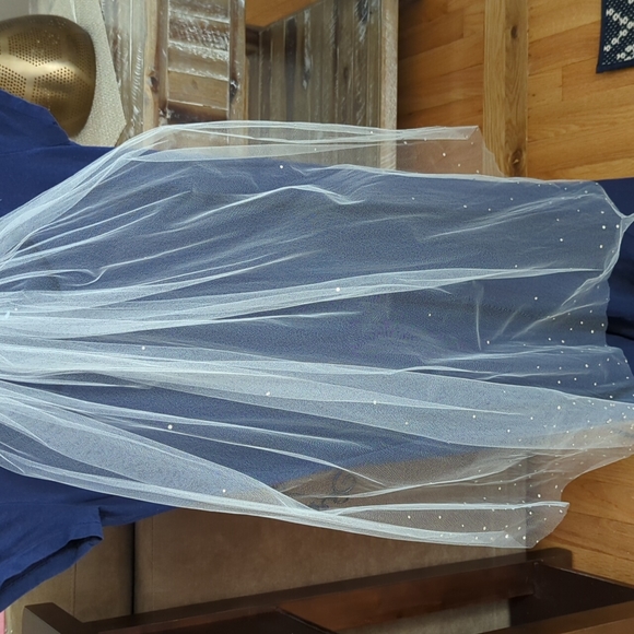 Ariel Taub ivory Swarovski crystal wedding veil - Picture 6 of 7